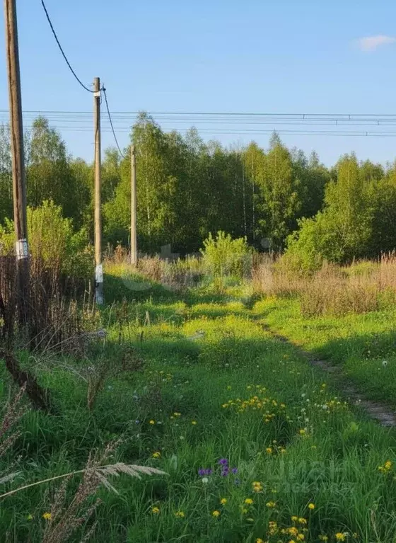 Участок в Тюменская область, Тюмень Поляна садовое общество, ул. ... - Фото 1