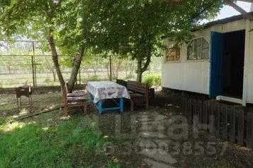 Дом в Краснодарский край, Ейский район, Должанская ст-ца Приморский ... - Фото 0