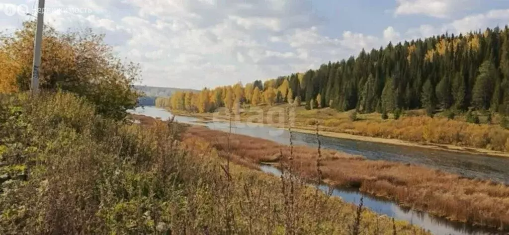 Участок в Свердловская область, городской округ Нижний Тагил, село ... - Фото 0