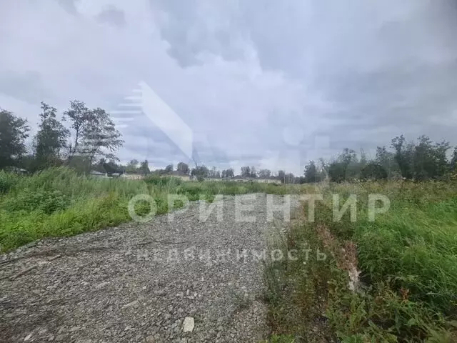 Участок 10 сот. (СНТ, ДНП) - Фото 0