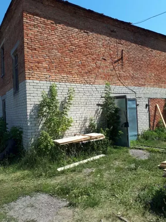 Помещение свободного назначения в Пензенская область, с. Лопатино ул. ... - Фото 1