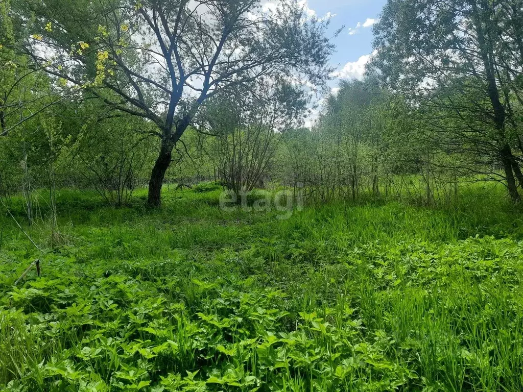Участок в Смоленская область, Смоленск пос. Красный Бор, 5Д (7.1 сот.) - Фото 1