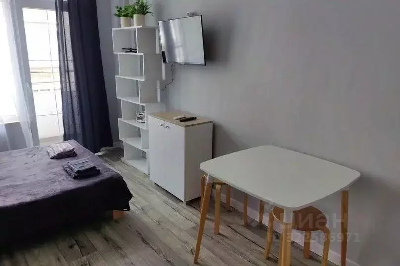 1-к кв. Краснодарский край, Сочи ул. Ленина, 290/6 (20.0 м) - Фото 1