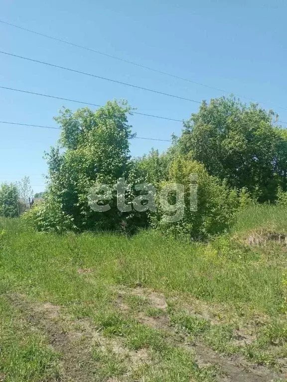 Участок в Алтайский край, Алтайский район, с. Алтайское ул. Цветочная ... - Фото 1