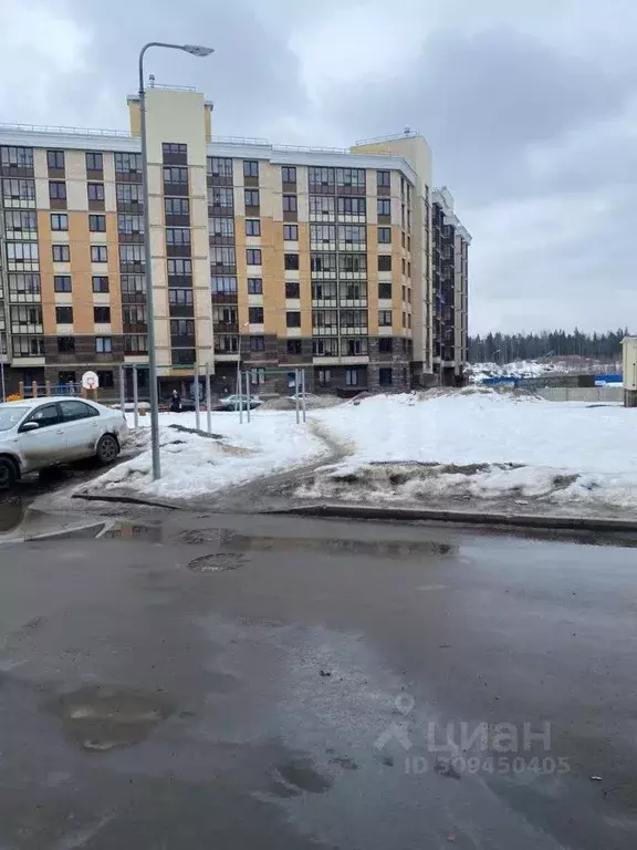 Студия Ленинградская область, Сертолово Всеволожский район, ... - Фото 0