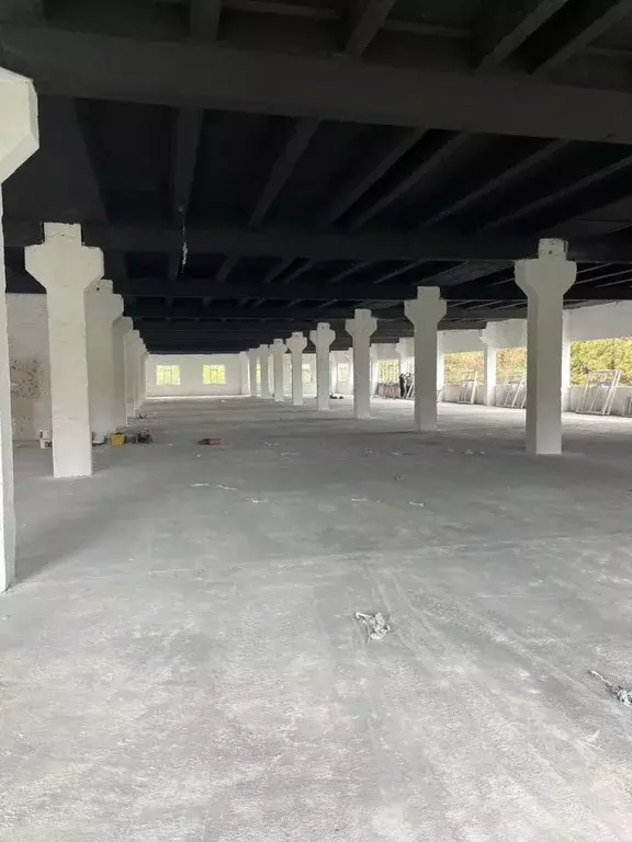 Помещение свободного назначения в Краснодарский край, Сочи ул. ... - Фото 1