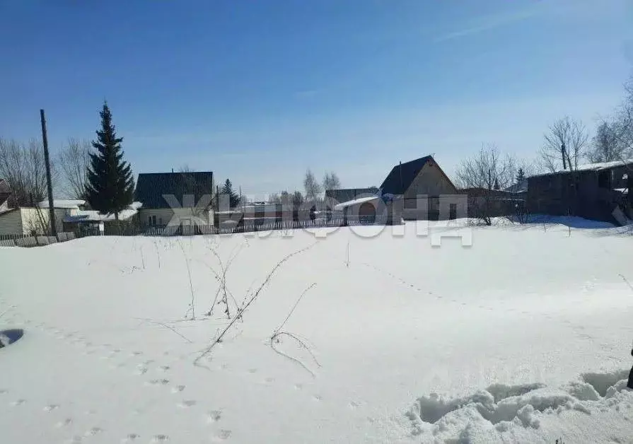 Участок в Новосибирская область, Ордынское рп ул. Суворова (952.0 ... - Фото 1