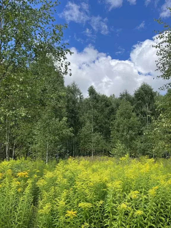 Участок в Нижегородская область, Бор городской округ, д. Макарово 4 ... - Фото 0
