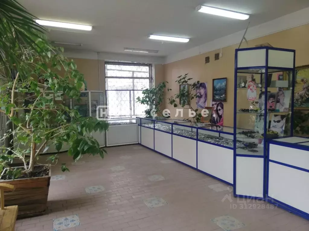 Помещение свободного назначения в Рязанская область, Рязань Трудовая ... - Фото 1