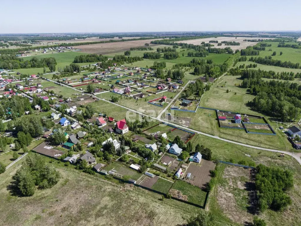 Участок в Новосибирская область, Новосибирский район, Морской ... - Фото 1