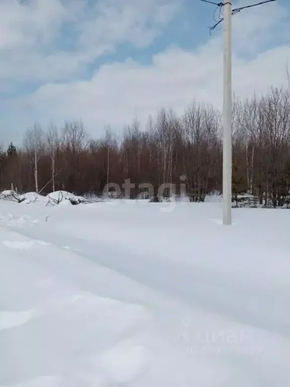 Участок в Свердловская область, Нижний Тагил ул. Большая Кольцевая ... - Фото 1