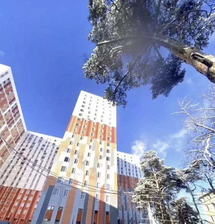 1-к кв. Московская область, Одинцовский городской округ, ... - Фото 0