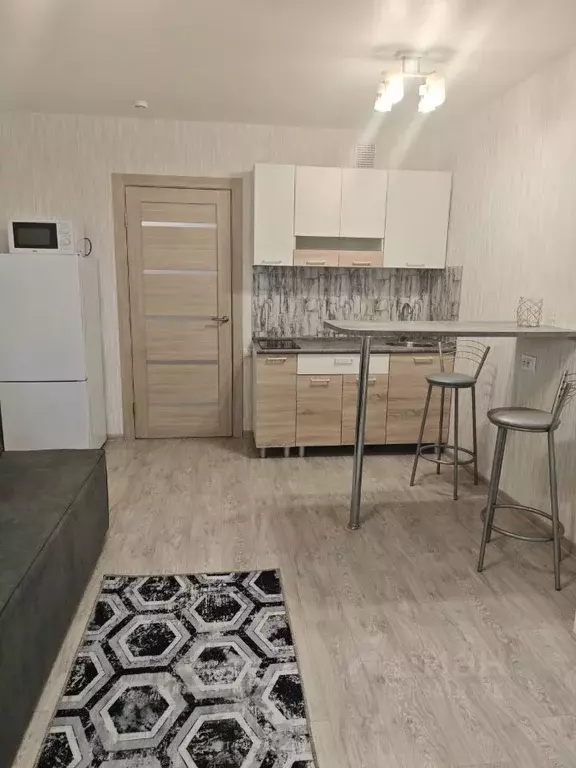 Студия Пермский край, д. Кондратово ул. Водопроводная, 6/1 (25.0 м) - Фото 1