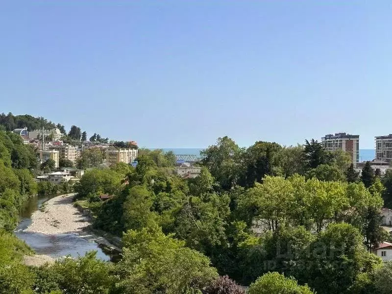 Студия Краснодарский край, Сочи городской округ, Дагомыс пгт ш. ... - Фото 1