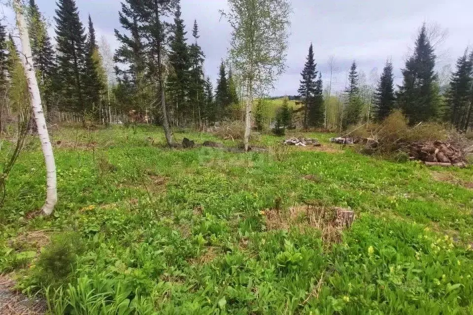 Участок в Кемеровская область, Таштагольский район, Шерегешское ... - Фото 0