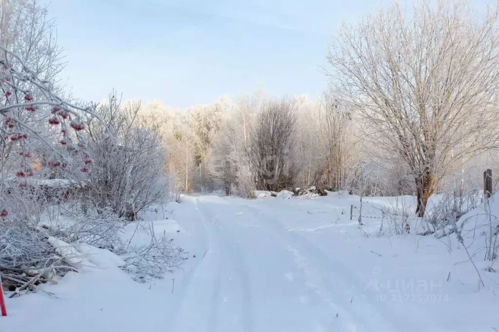 Участок в Тюменская область, Тобольск Южанка садоводческое ... - Фото 0
