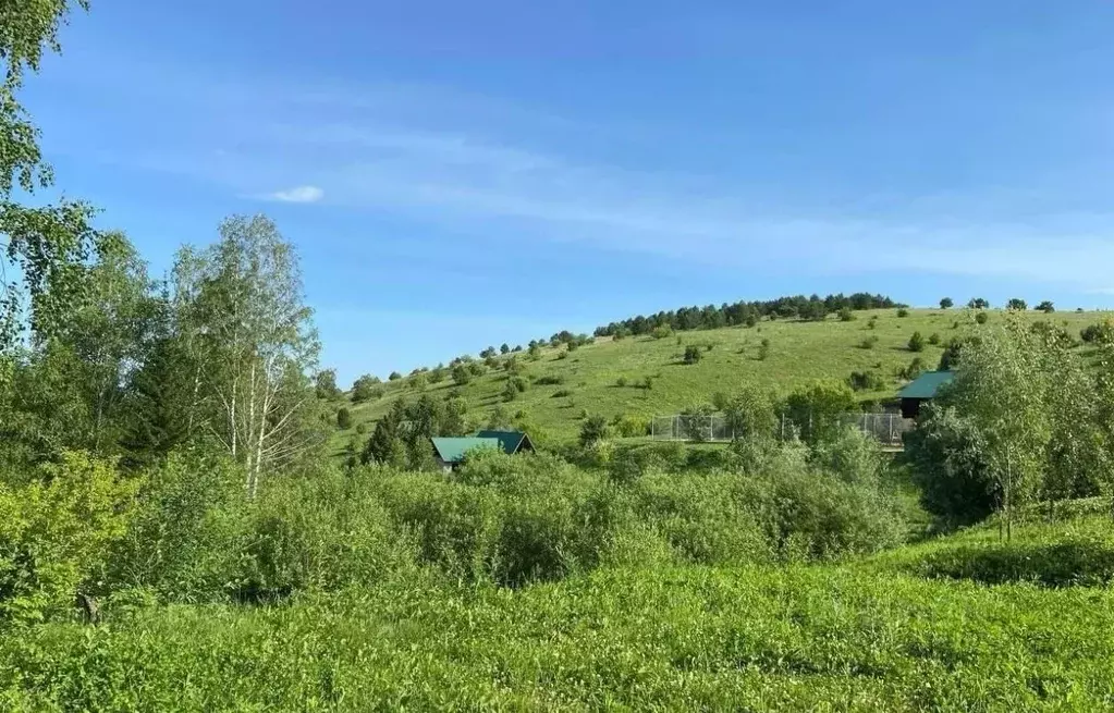 Участок в Алтайский край, Белокуриха Алтайская ул., 165 (12.0 сот.) - Фото 1