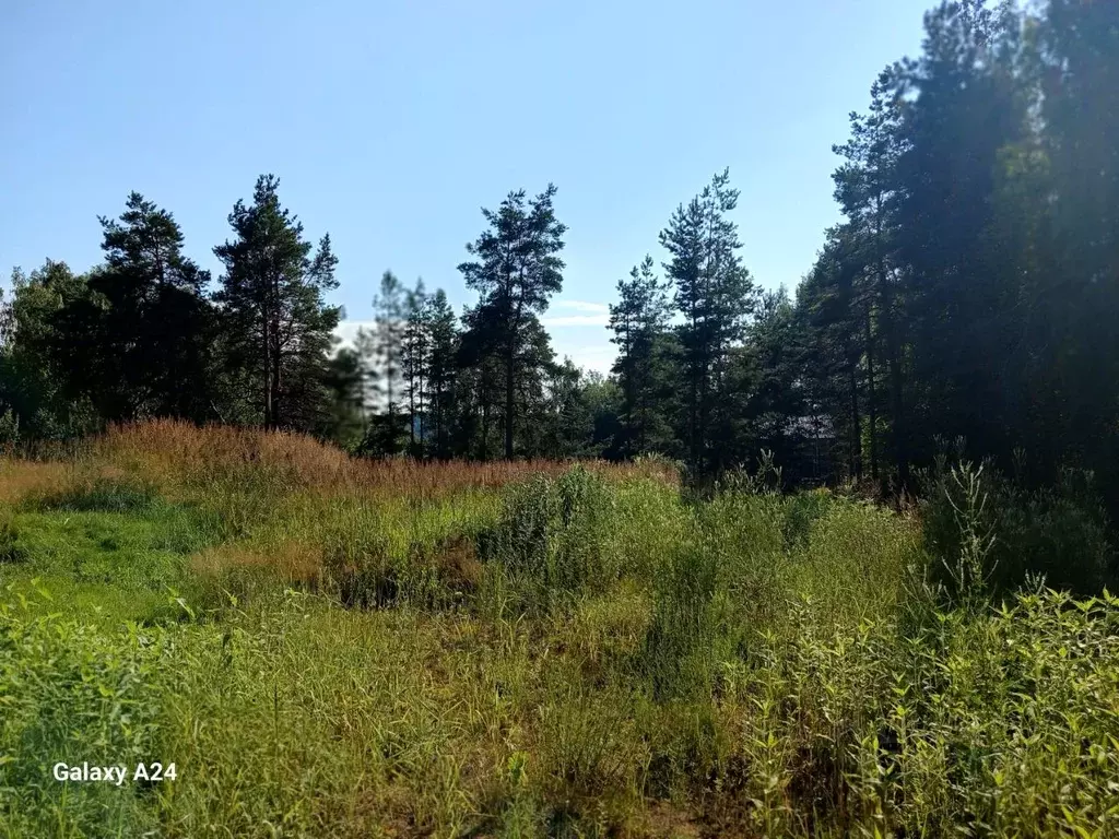 Дом в Ленинградская область, Лужский район, Толмачево городской ... - Фото 2