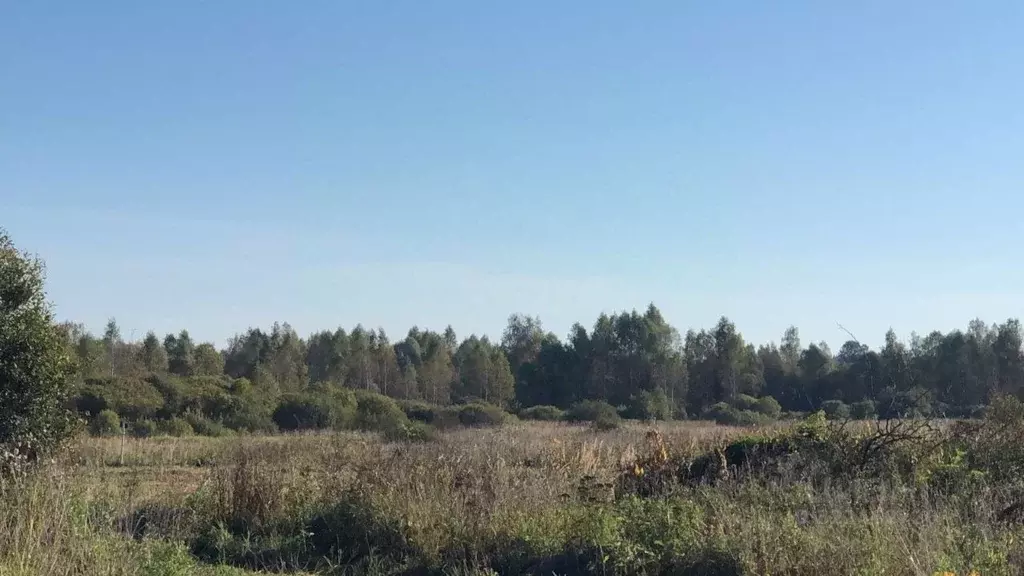 Участок в Московская область, Можайский муниципальный округ, д. ... - Фото 1