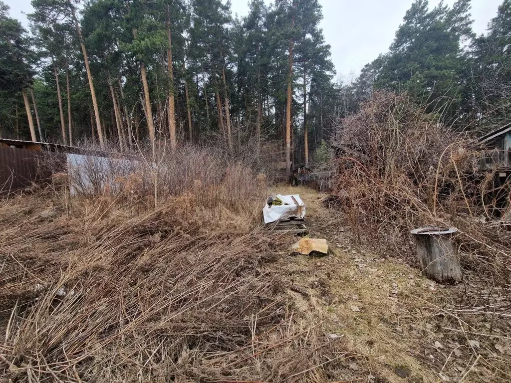 Дом в Свердловская область, Екатеринбург Энергетик-1 СНТ,  (10 м) - Фото 2