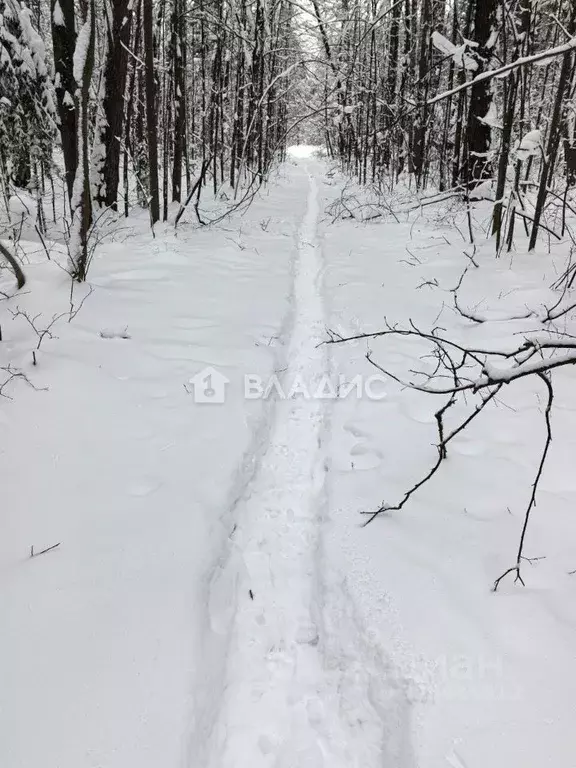 Участок в Владимирская область, Владимир Связист сад, 4/15 (4.4 сот.) - Фото 2