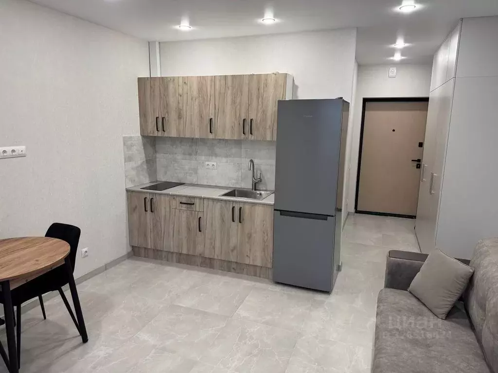 Студия Свердловская область, Екатеринбург ул. Репина, 109 (25.0 м) - Фото 2