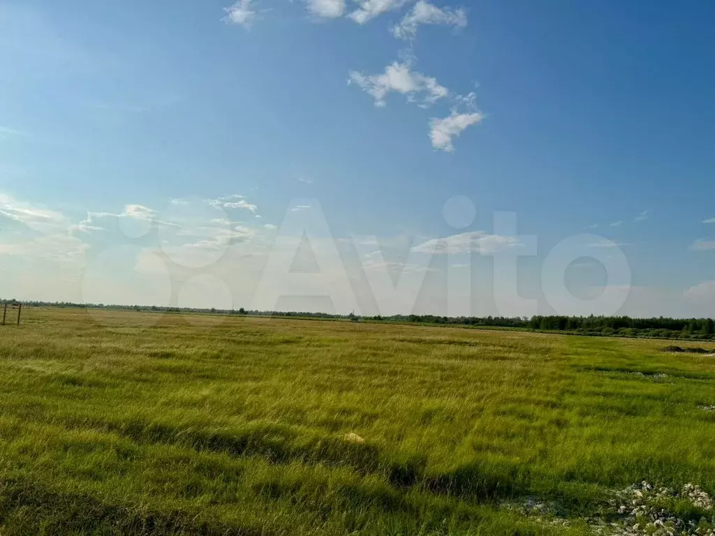 Участок 10 сот. (СНТ, ДНП) - Фото 1