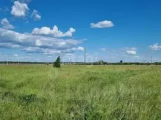 Участок в Саратовская область, Балашовский район, Хоперское ... - Фото 0