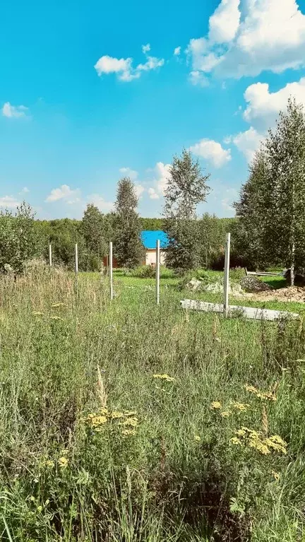 Участок в Нижегородская область, Богородский муниципальный округ, д. ... - Фото 1