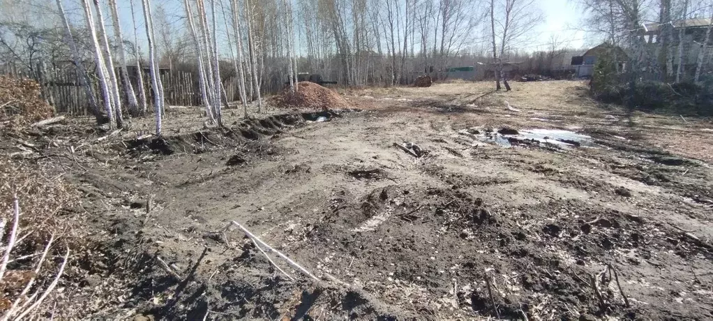 Участок в Челябинская область, Копейск Любитель СНТСН,  (5.0 сот.) - Фото 1
