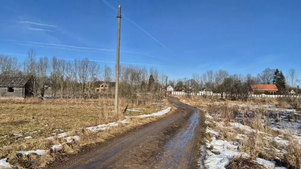 Участок в Ленинградская область, Гатчинский муниципальный округ, д. ... - Фото 1