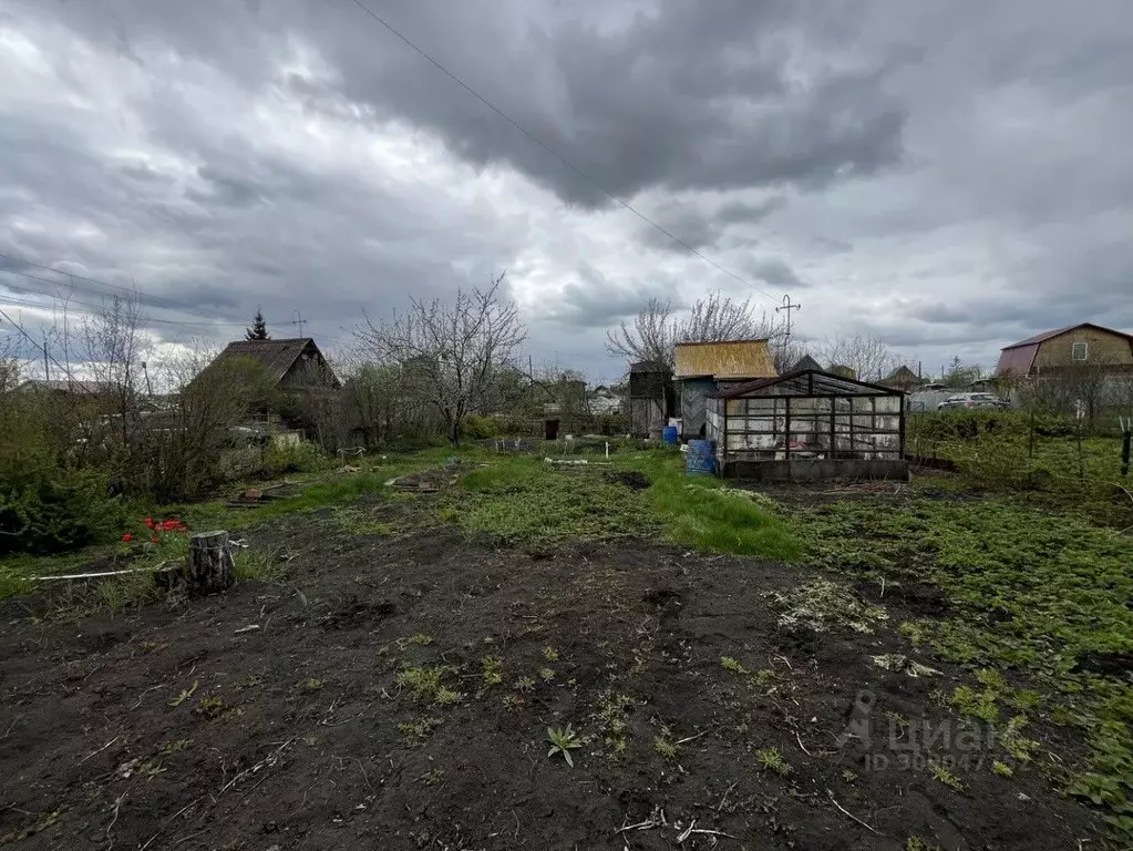 Участок в Челябинская область, Чебаркуль Металлург-3 СНТ, 140 (3.7 ... - Фото 1