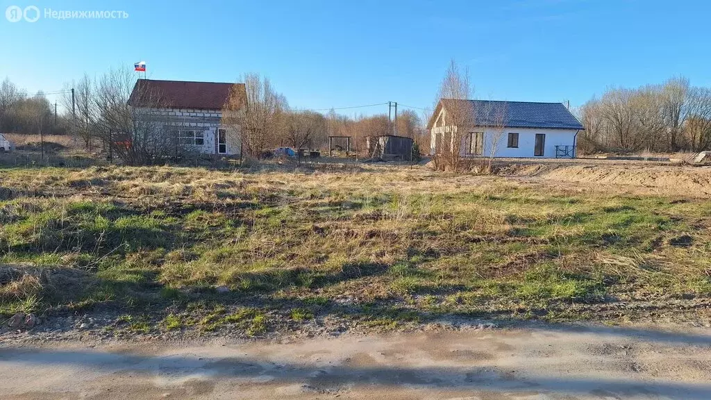 Участок в Калининградская область, Гурьевский муниципальный округ, СНТ ... - Фото 2