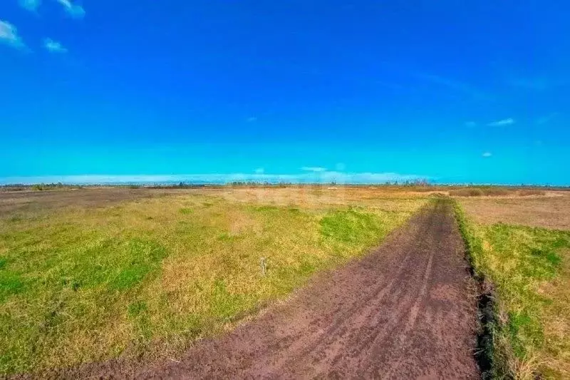 Участок в Ставропольский край, Шпаковский муниципальный округ, с. ... - Фото 1