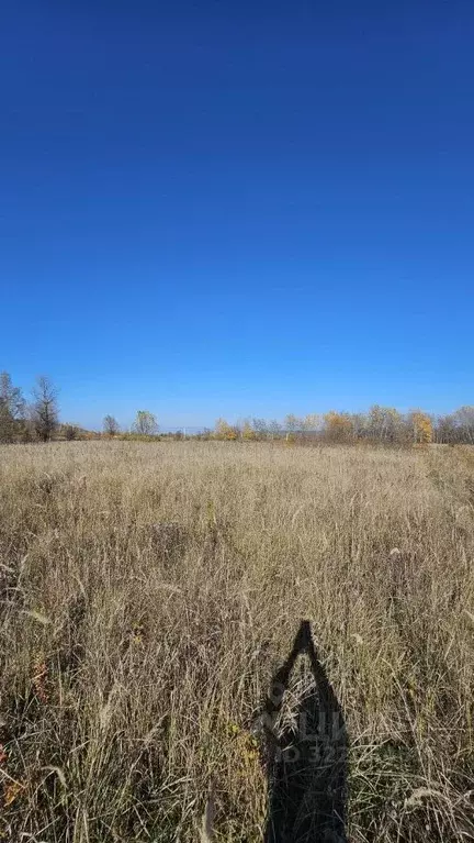 Участок в Адыгея, Майкопский район, Тимирязевское с/пос, пос. ... - Фото 2
