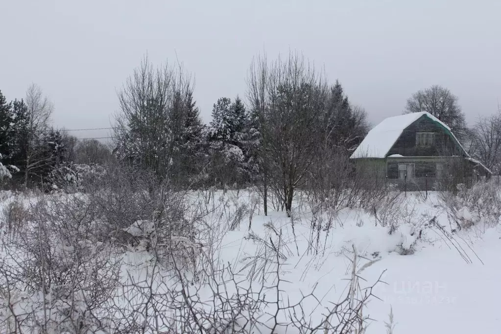 Участок в Москва д. Лукино, 12 (15.92 сот.) - Фото 2