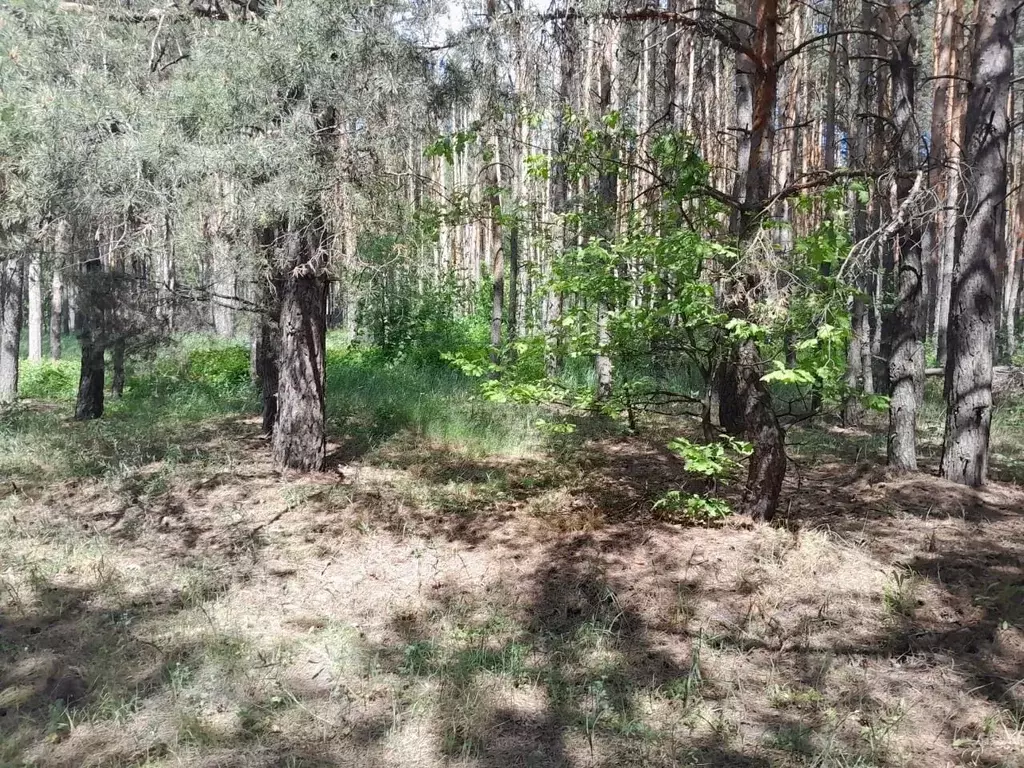 Участок в Воронежская область, Воронеж Малышево мкр,  (8.0 сот.) - Фото 2