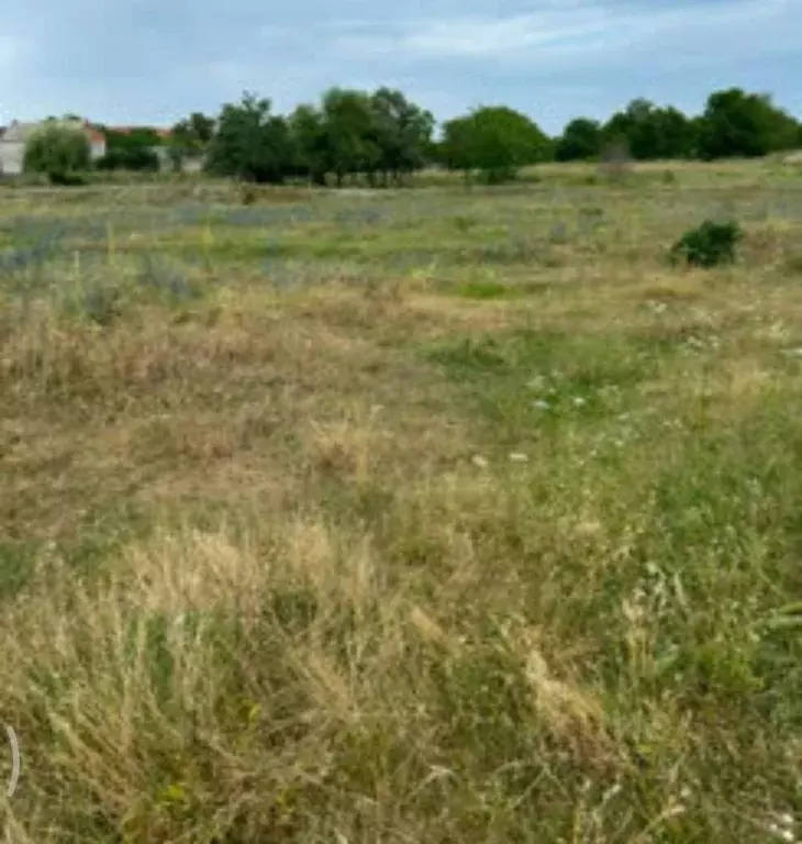 Участок в Северная Осетия, Ардон  (20.0 сот.) - Фото 2