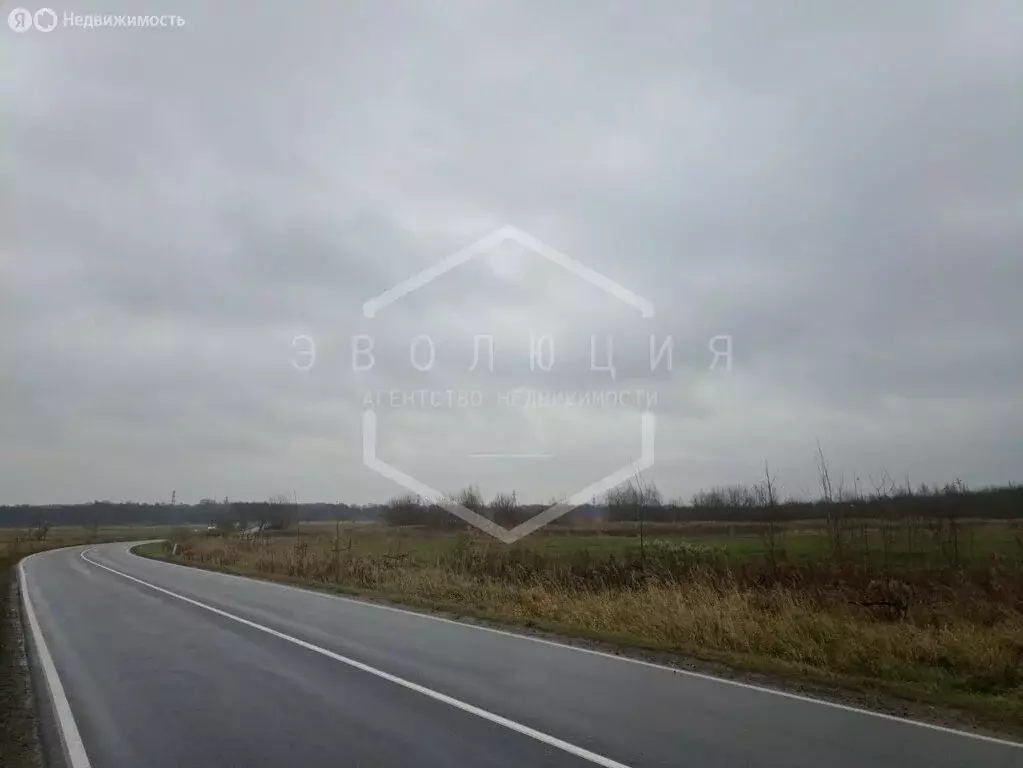 Участок в Калининградская область, Зеленоградский муниципальный округ, ... - Фото 2