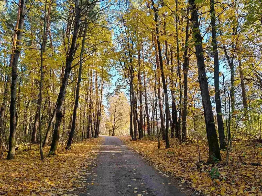 Участок в Калужская область, Калуга  (10.0 сот.) - Фото 0