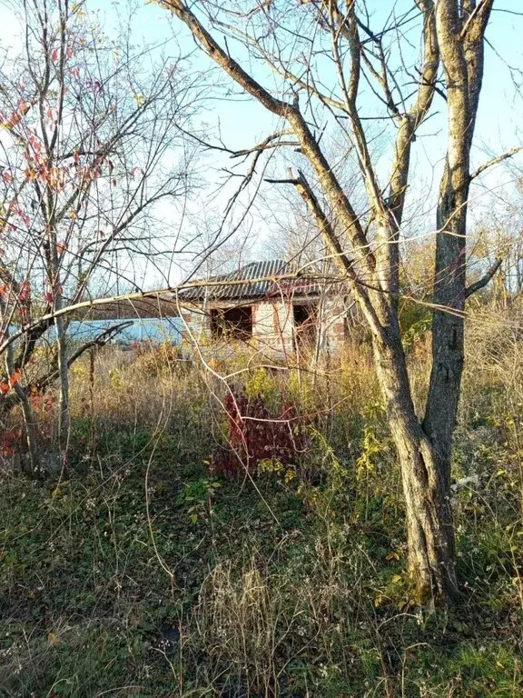 Участок в Ставрополь, садовое товарищество Садовод, 113 (4.52 м) - Фото 2