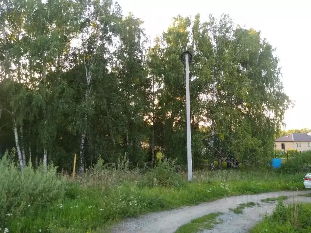 Участок в Новосибирская область, Новосибирский район, Станционный ... - Фото 1