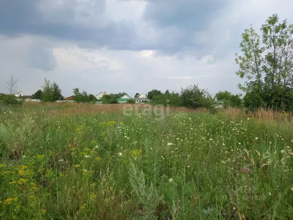 Участок в Белгородская область, Губкинский городской округ, с. Аверино ... - Фото 1