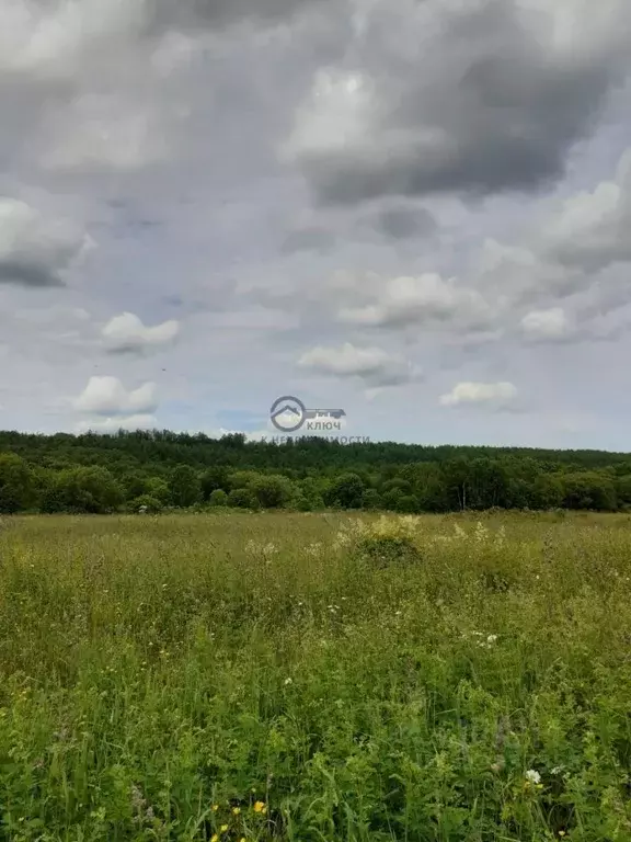 Участок в Сахалинская область, Корсаковский городской округ, с. Лесное ... - Фото 0