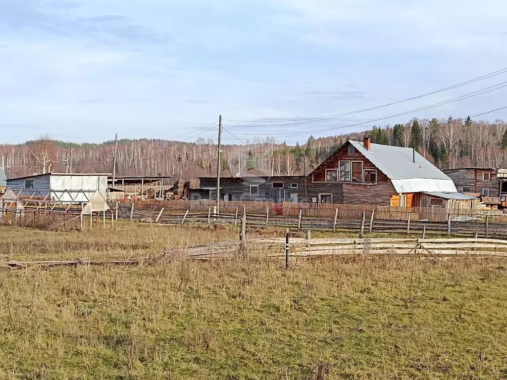 участок в пермский край, чайковский городской округ, д. некрасово ул. . - Фото 0