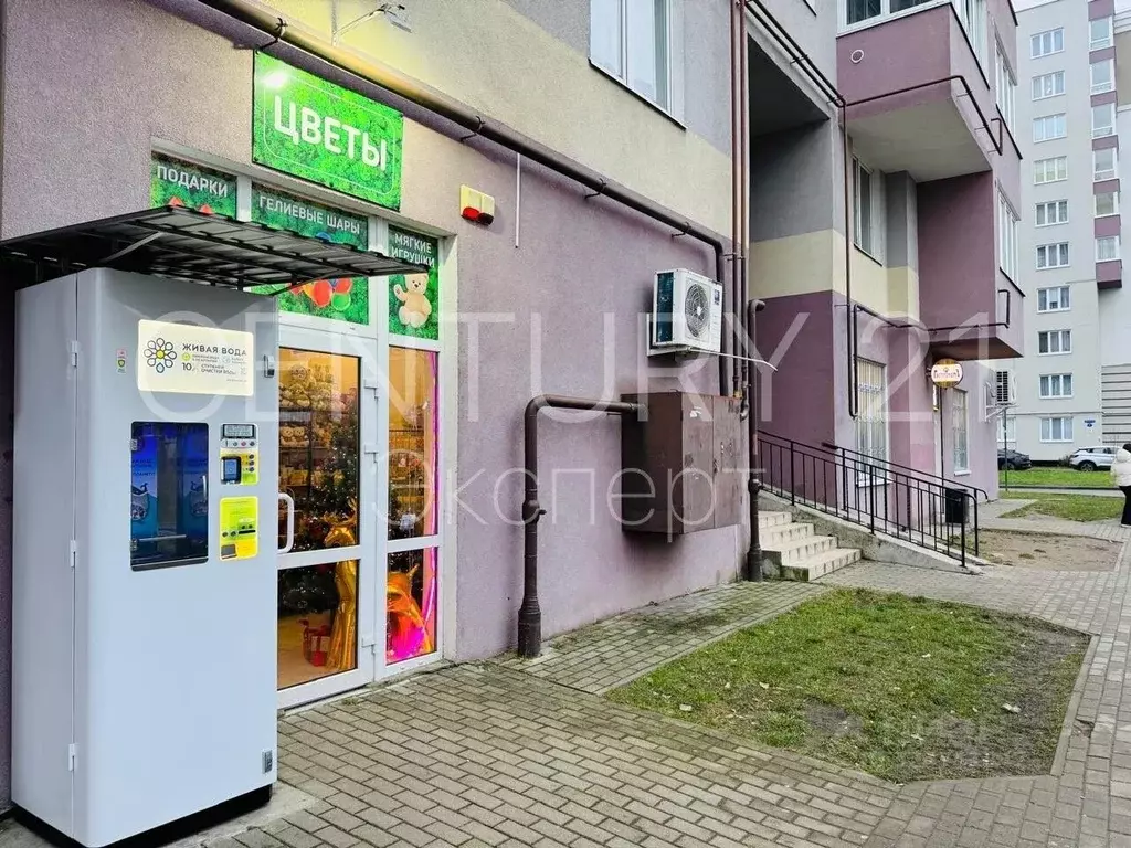 Помещение свободного назначения в Калининградская область, Калининград ... - Фото 0