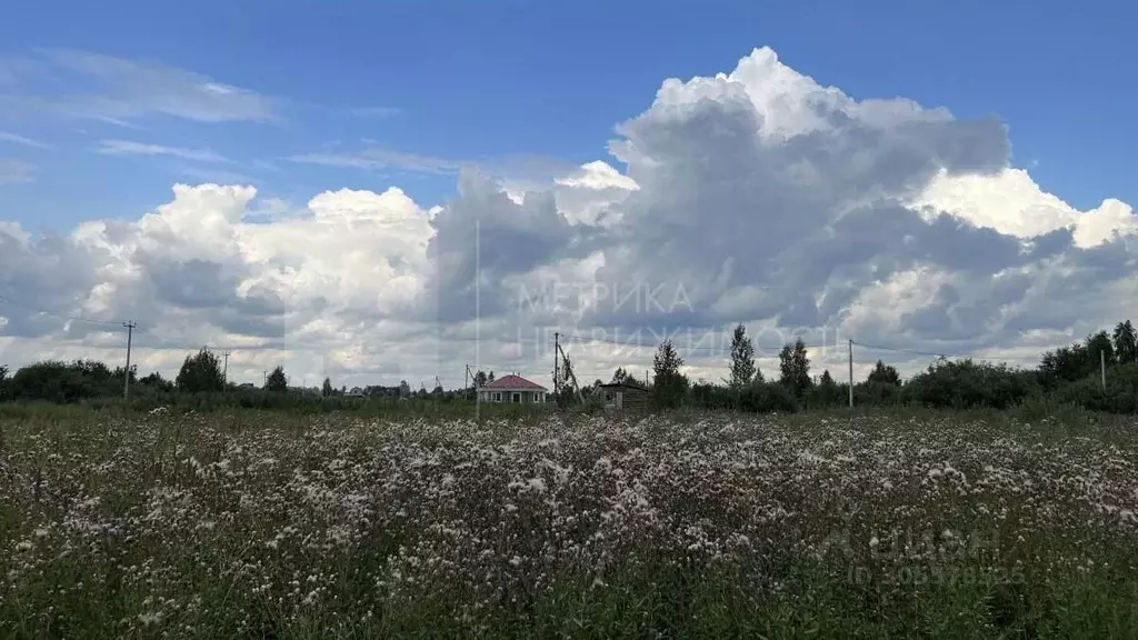 Участок в Тюменская область, Тюмень Поле Чудес-2 садовое товарищество, ... - Фото 0