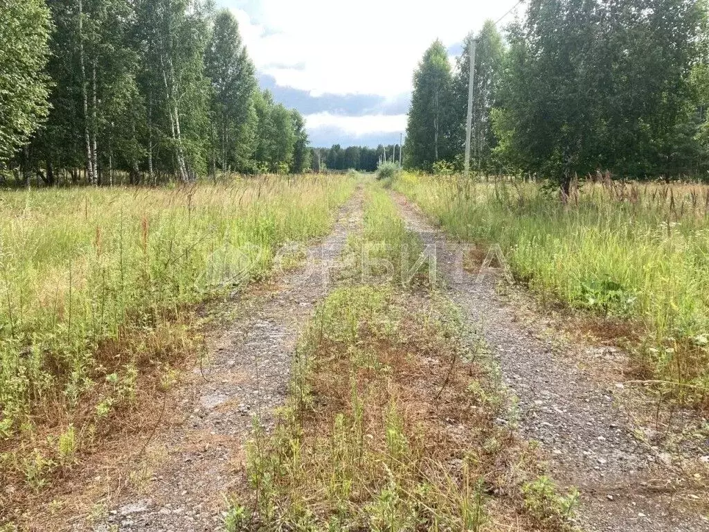 Участок в Тюменская область, Нижнетавдинский район, Царицыно СНТ ул. ... - Фото 0