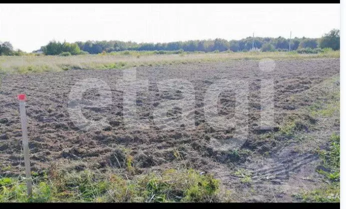 Участок в Тверская область, Калининский муниципальный округ, д. ... - Фото 1