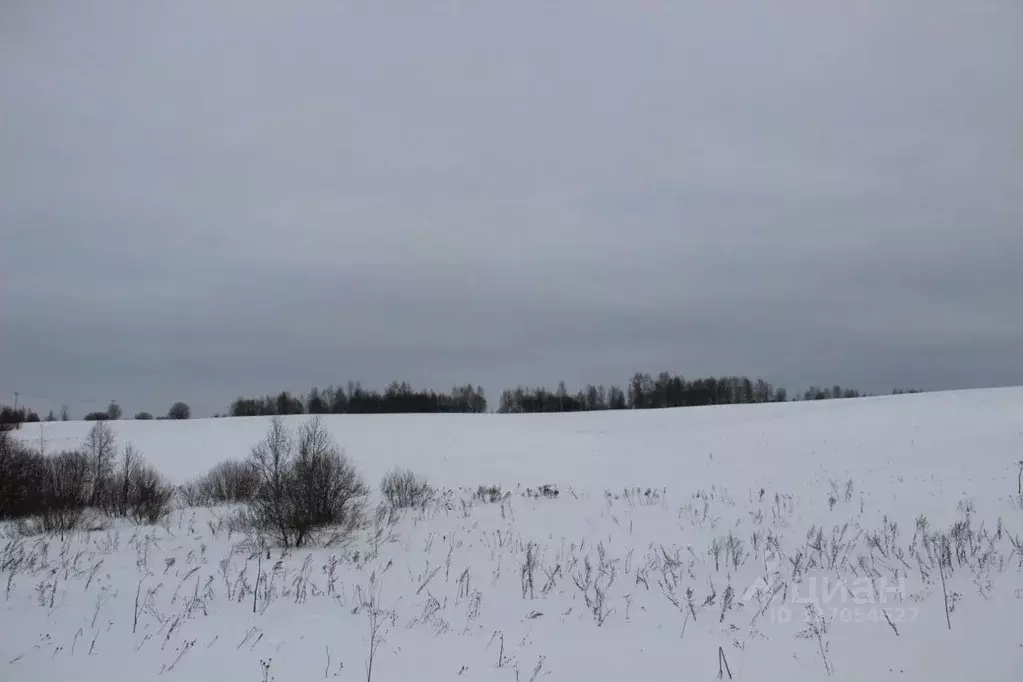 Участок в Московская область, Шаховская муниципальный округ, с. Середа ... - Фото 1